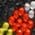 Color Swatch - Halloween