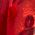 Color Swatch - Gold/Red
