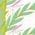 Color Swatch - Shake Your Palm Palms