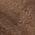 Color Swatch - Brown