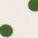 Color Swatch - Green