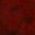 Color Swatch - Red