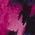 Color Swatch - Cerise Multi