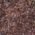 Color Swatch - Brown