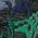 Color Swatch - Green
