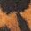 Color Swatch - Animal