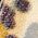 Color Swatch - Animal