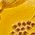 Color Swatch - Yellow