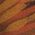 Color Swatch - Orange