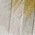 Color Swatch - Multi