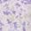 Color Swatch - White Multi