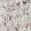Color Swatch - White