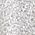 Color Swatch - Silver