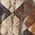 Color Swatch - Brown