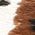 Color Swatch - Brown Multi