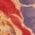 Color Swatch - Floral