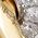 Color Swatch - Gold
