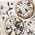 Color Swatch - Silver/Crystal