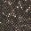 Color Swatch - Black