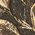 Color Swatch - Black Gold