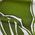 Color Swatch - Green