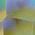 Color Swatch - Blue