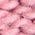 Color Swatch - Primrose
