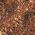 Color Swatch - Antique Bronze