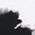 Color Swatch - Black