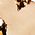 Color Swatch - Gold