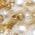 Color Swatch - Ivory
