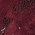 Color Swatch - Red
