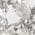 Color Swatch - Silver