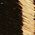Color Swatch - Zebra