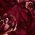 Color Swatch - Red