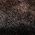Color Swatch - Dark Brown