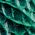Color Swatch - Pine