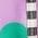 Color Swatch - Purple