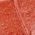 Color Swatch - Orange
