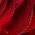 Color Swatch - Red