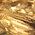 Color Swatch - Gold