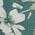Color Swatch - Green/White Floral
