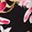 Color Swatch - Floral