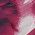 Color Swatch - Purple