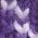 Color Swatch - Purple