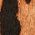 Color Swatch - Leopard