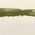 Color Swatch - Dark Green