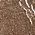 Color Swatch - Brown