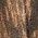 Color Swatch - Brown