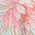Color Swatch - Floral